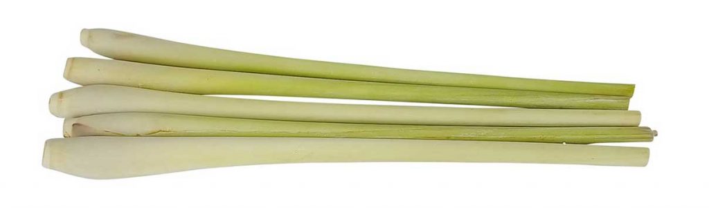lemongrass-esencialny-olej-organicky-citronova-trava-blog